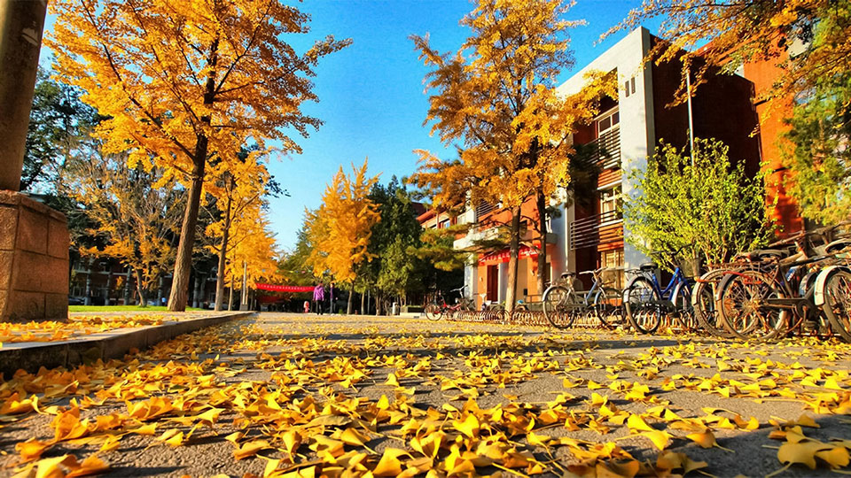 大学院校